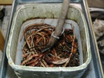 szk080119 004.01.jpg