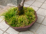 szk080119 009.02.jpg