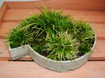 szk080120 001.01.jpg