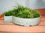 szk080120 003.01.jpg