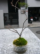 szk080120 008.01.jpg