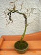 szk080122 004.01.jpg