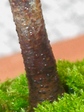 szk080122 005.01.jpg