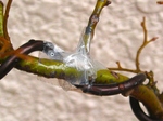 szk080122 006.01.jpg