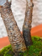 szk080122 010.01.jpg