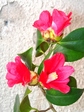 szk080122 021.01.jpg