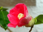szk080122 030.01.jpg