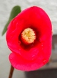szk080122 031.01.jpg
