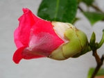 szk080122 032.01.jpg