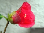 szk080122 033.01.jpg