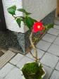 szk080122 035.01.jpg