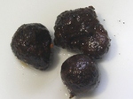 szk080126 017.01.jpg
