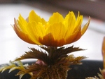 szk080128 003.01.jpg