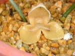szk080130 010.01.jpg