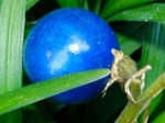 szk080201 003.01.jpg