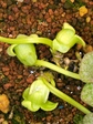 szk080201 008.01.jpg