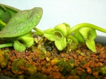 szk080201 009.01.jpg