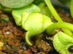 szk080201 012.01.jpg