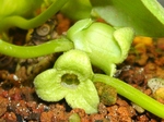 szk080201 013.01.jpg