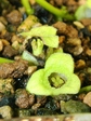 szk080201 020.01.jpg