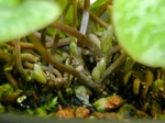 szk080201 028.01.jpg