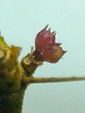 szk080201 039.01.jpg