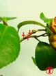 szk080201 044.01.jpg