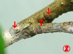 szk080201 046.01.jpg