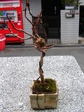 szk080202 011.01.jpg