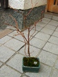 szk080202 013.01.jpg