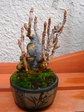 szk080204 003.01.jpg
