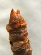 szk080204 006.01.jpg