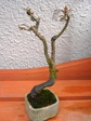 szk080204 007.01.jpg