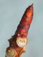 szk080204 019.01.jpg