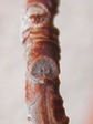 szk080204 020.01.jpg