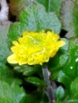 szk080205 038.01.jpg