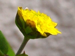 szk080207 005.01.jpg