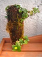 szk080207 008.01.jpg