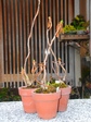 szk080209 001.01.jpg