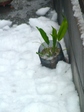 szk080210 002.01.jpg