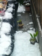 szk080210 003.01.jpg