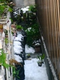 szk080210 006.01.jpg