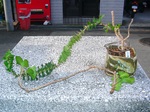 szk080211 001.01.jpg