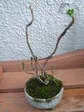 szk080211 024.01.jpg
