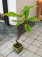 szk080211 027.01.jpg