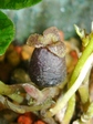 szk080211 047.01.jpg