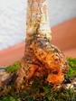 szk080211 055.01.jpg