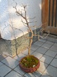 szk080216 003.01.jpg