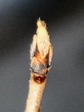 szk080217 019.01.jpg