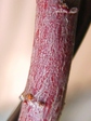 szk080217 023.01.jpg